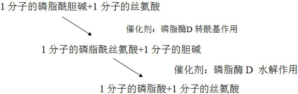 一种使用微通道反应器制备磷脂酰丝氨酸的方法与流程