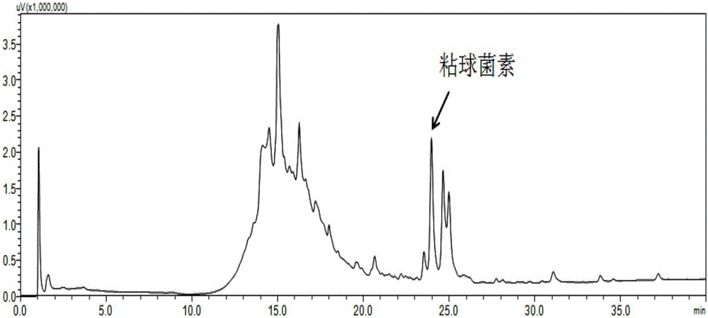 一种用于提高粘细菌中大环内脂类次级代谢产物产量的发酵方法与流程