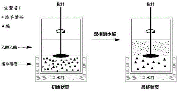 一种双相酶水解获取宝藿苷I的方法与流程