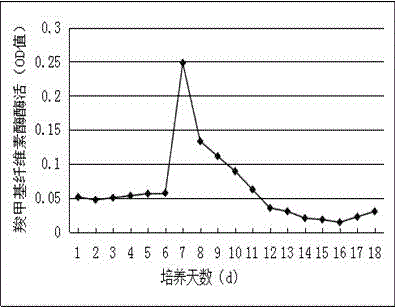 一種桑黃工廠化液體發(fā)酵過程中酶活規(guī)律的測定方法與流程