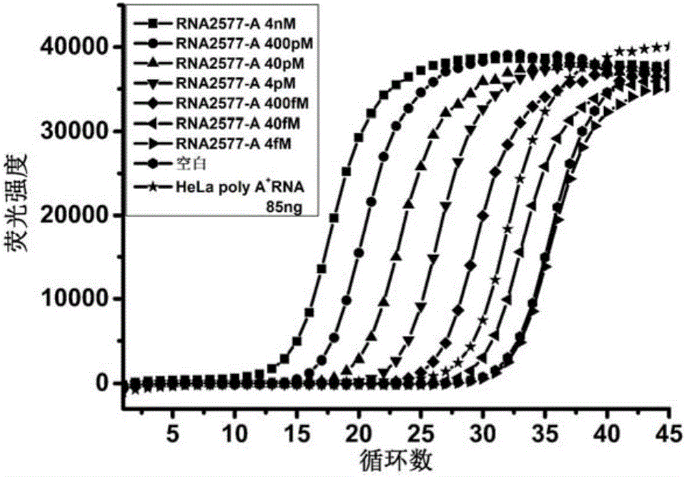T3DNA连接酶和T4RNA连接酶2在检测N6甲基腺嘌呤中的应用的制作方法与工艺