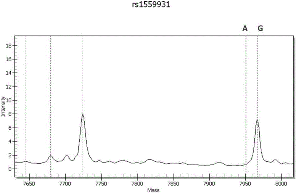 基因多态性位点的用途和试剂盒的制作方法与工艺