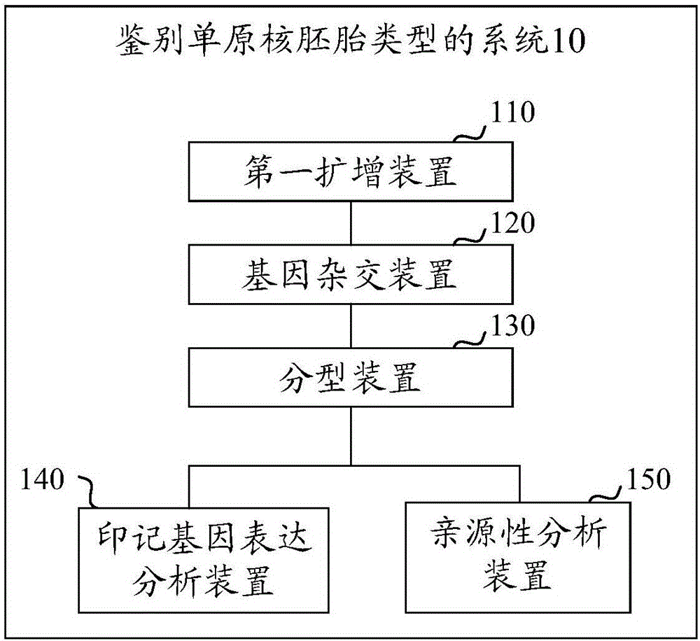 微量細(xì)胞水平鑒別單原核胚胎類型的方法和系統(tǒng)與流程