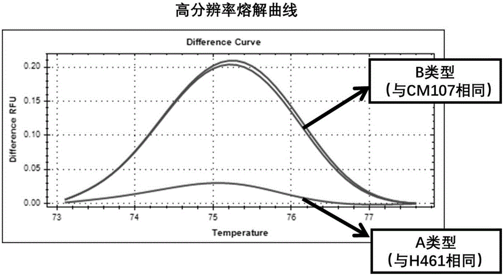 與小麥旗葉長(zhǎng)QTL QFll.sicau?2D緊密連鎖的分子標(biāo)記及應(yīng)用的制作方法與工藝