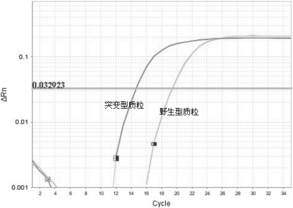 高灵敏度基因突变检测方法及所用试剂盒与流程