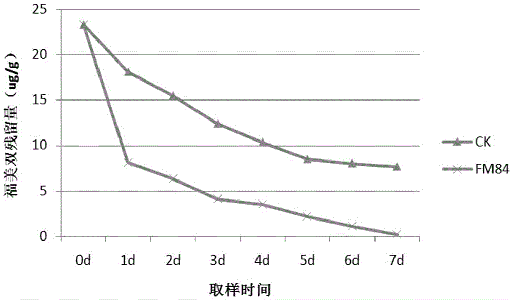 一种克雷氏肺炎杆菌及其菌剂和制备方法与应用与流程