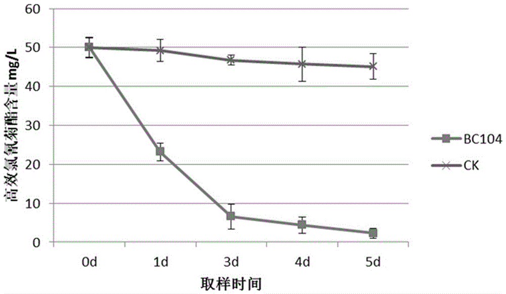 一种阿氏芽孢杆菌及其菌剂和制备方法与应用与流程