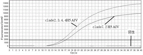 區(qū)分clade 7．2和clade 2．3．4．4 H5 AIV的實(shí)時(shí)熒光定量PCR引物的制作方法與工藝