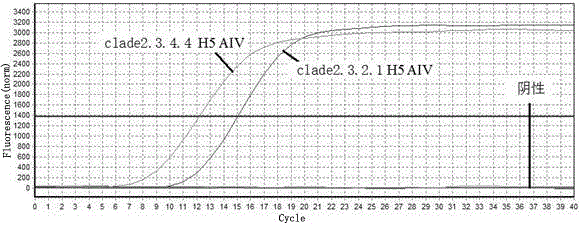 区分clade 2．3．2．1和clade 2．3．4．4 H5 AIV的实时荧光定量PCR引物的制作方法与工艺