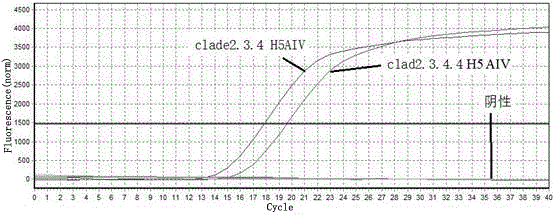 区分clade 2．3．4和clade 2．3．4．4 H5 AIV的实时荧光定量PCR引物的制作方法与工艺