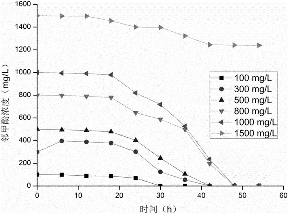 一株鄰甲酚降解菌及其應(yīng)用的制作方法與工藝