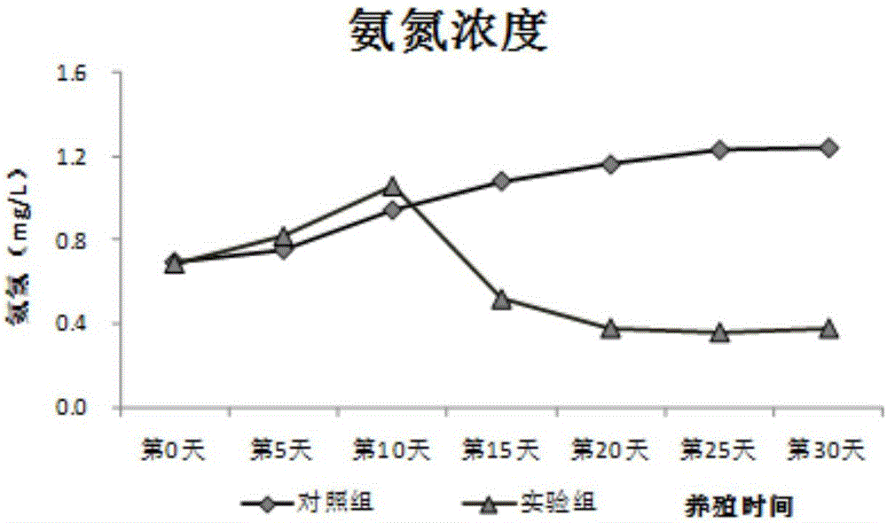 一種生物絮團(tuán)的培養(yǎng)方法及水產(chǎn)養(yǎng)殖方法與流程