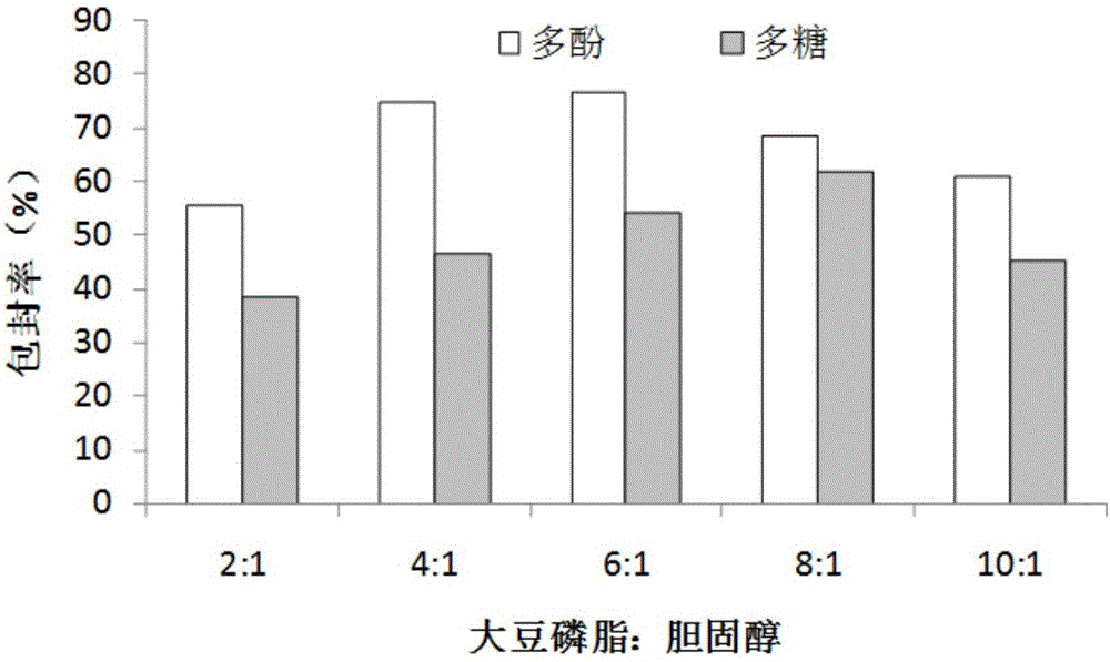 一种莲藕多酚‑多糖脂质体复合液及其制备方法与流程