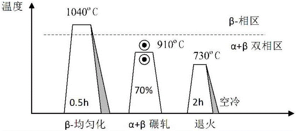 鈦合金切屑循環(huán)處理的熱擠壓?碾軋?退火方法與流程