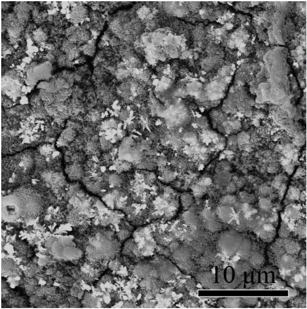 一种镁合金或镁表面的载银羟基磷灰石涂层及其制备方法与流程