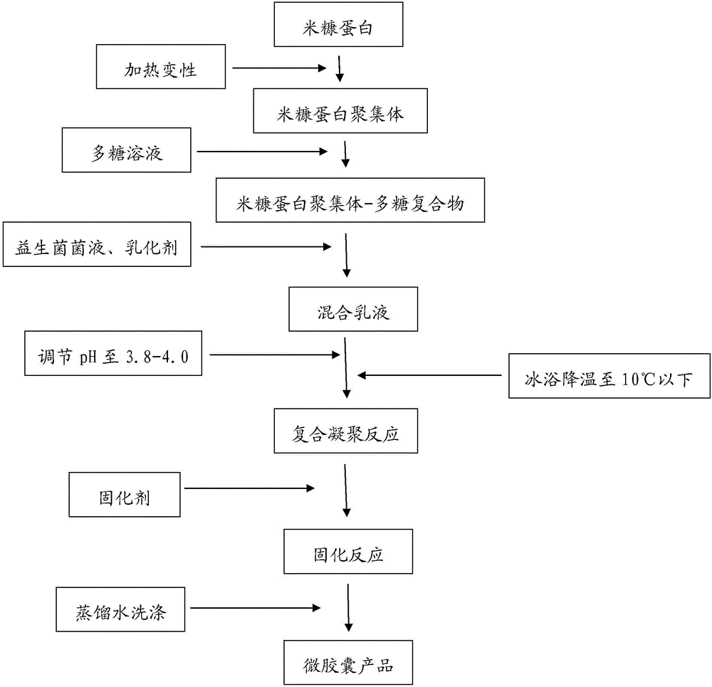 以蛋白聚集體?多糖為壁材的益生菌微膠囊及制備方法與流程