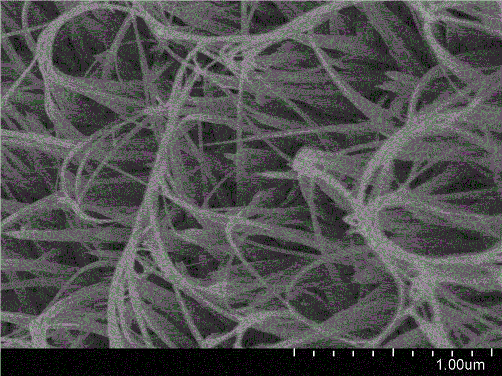 高长径比硫化镍单晶纳米线阵列的制备方法与流程