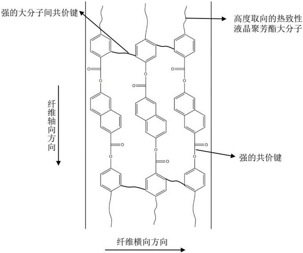 一种热致性液晶聚芳酯纤维及其制备方法与流程