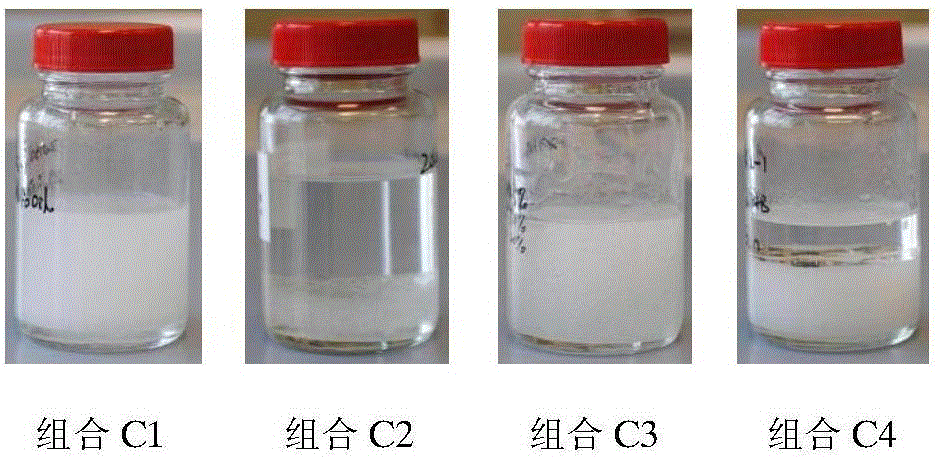 一種高含油量陽離子凝膠體系及制備方法與流程