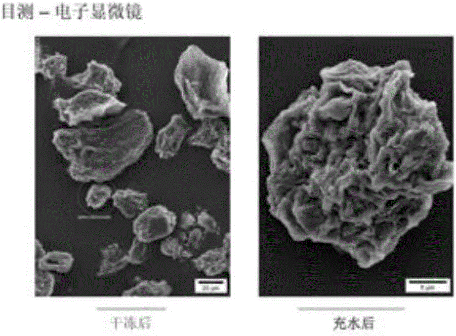 玻尿酸凍干微囊粉及其制備方法和應(yīng)用與流程