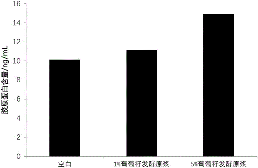 一种葡萄籽发酵原浆化妆品及其制备方法与应用与流程