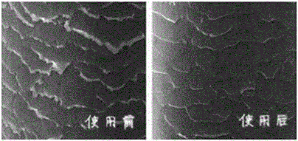 一种猴面包果油洗发水及其制备方法与流程