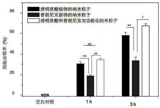 一種抑制多藥耐受基因表達的靶向抗腫瘤納米藥物的制作方法與工藝