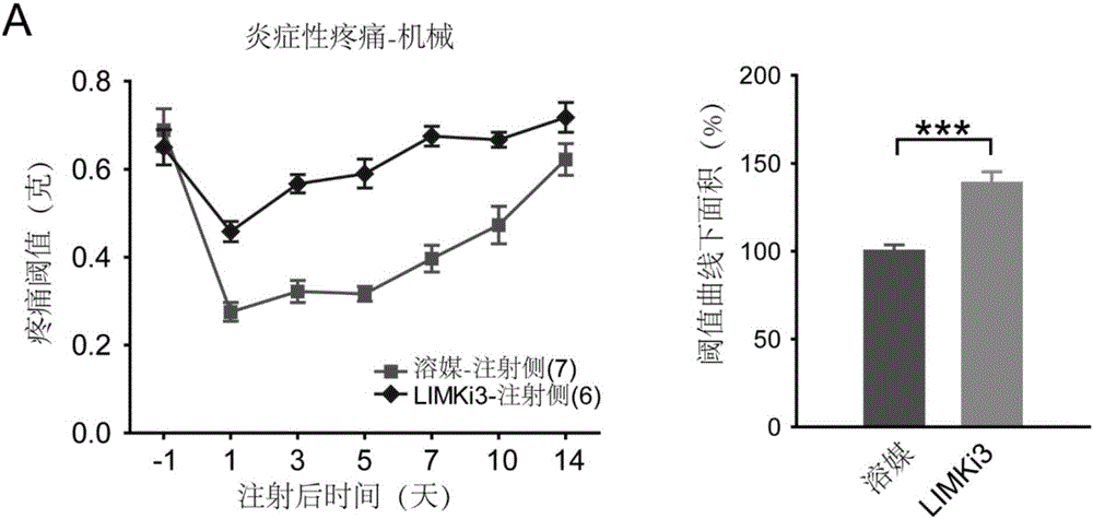 LIM激酶抑制劑LIMKi3在制備治療疼痛藥物中的應(yīng)用的制作方法與工藝