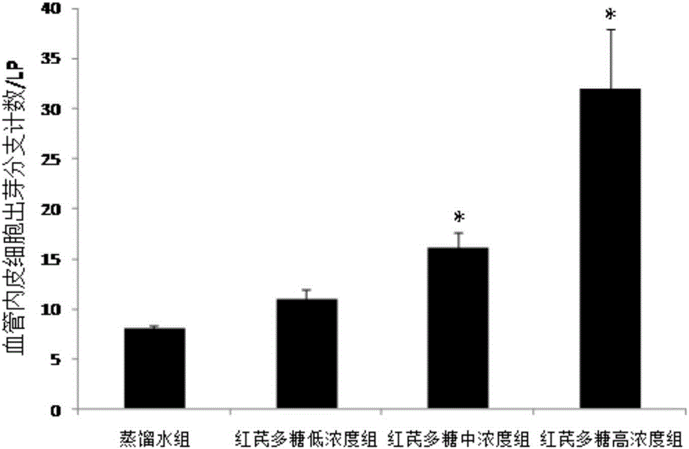 红芪或红芪多糖用于治疗缺血性血管疾病的用途的制作方法与工艺