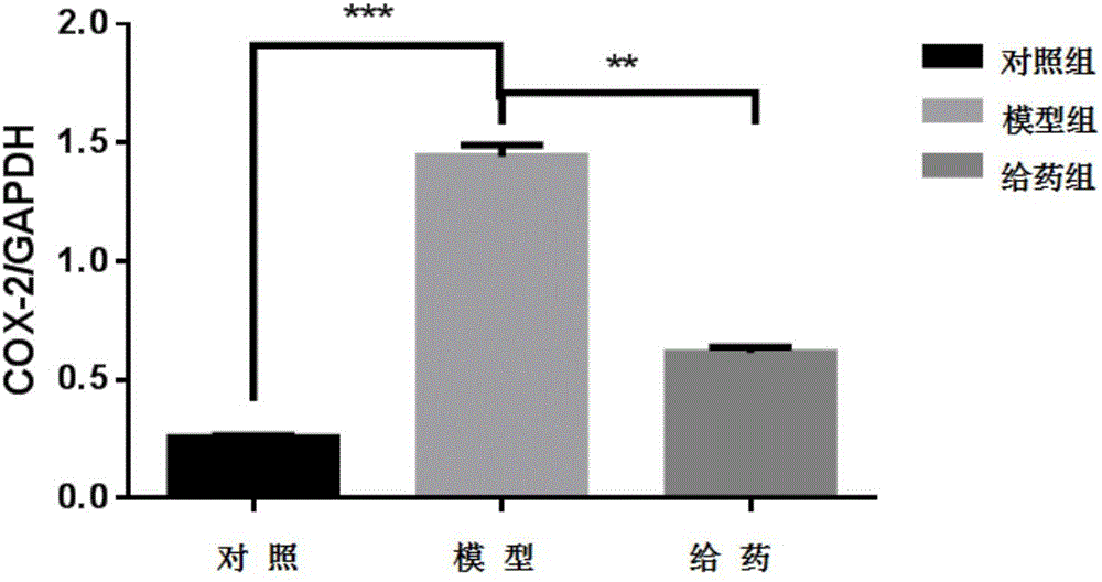 一种预防和治疗糖尿病足的凝胶制剂及其制备方法与流程
