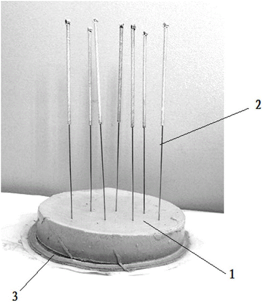 一种利用泥饼模拟泥页岩微裂缝的方法与流程