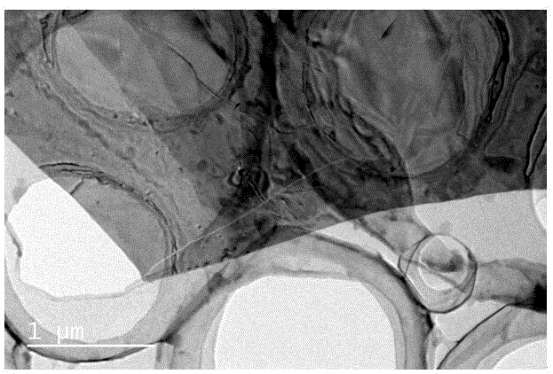 一種干法制備二維材料的TEM樣品的方法與流程