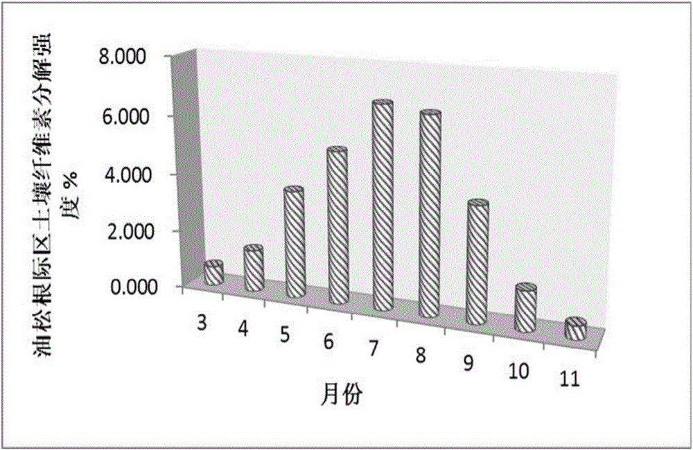 一種根際區(qū)土壤纖維素分解作用的測(cè)定方法與流程