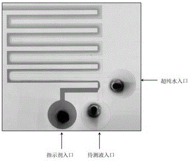 基于釩鉬黃分光光度法測定海水中磷含量的光流控檢測器的制作方法與工藝