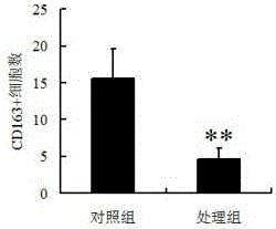 一種清下瀉胰方劑的制作方法與工藝