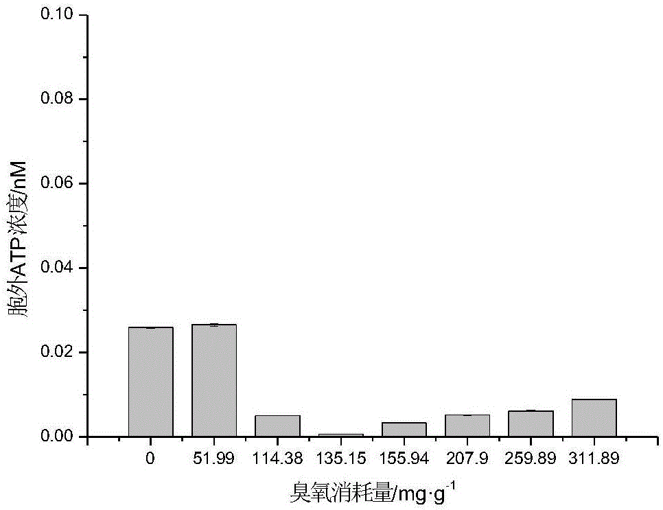 一种评价污泥臭氧处理过程中活菌含量和组成的方法与流程