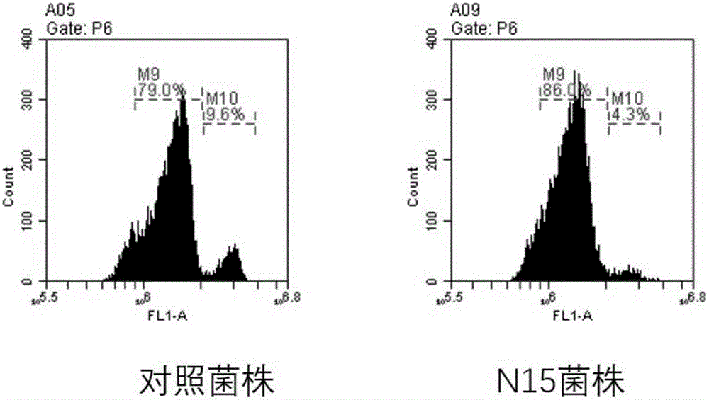 N15多肽在制備細(xì)菌抑制劑中的用途的制作方法與工藝