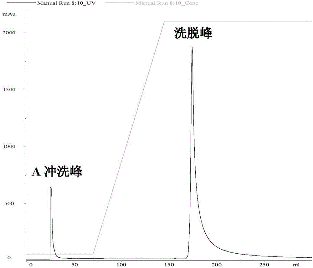 一种包载重组抗肿瘤蛋白TmSm的mPEG‑PLGA纳米颗粒及其制备方法和应用与流程