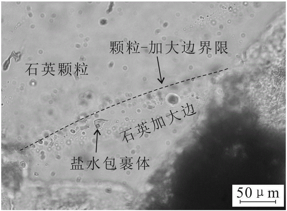 一種厘定砂巖儲(chǔ)層中古成巖流體來源的方法與流程