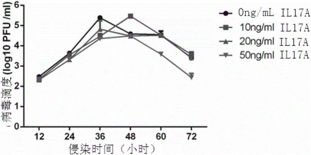 白介素17在抵御流感病毒侵染中的應(yīng)用的制作方法與工藝