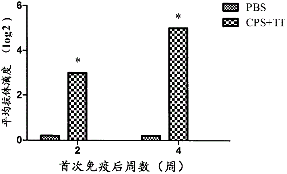 一种罗非鱼源无乳链球菌荚膜多糖疫苗的制备方法及其应用与流程