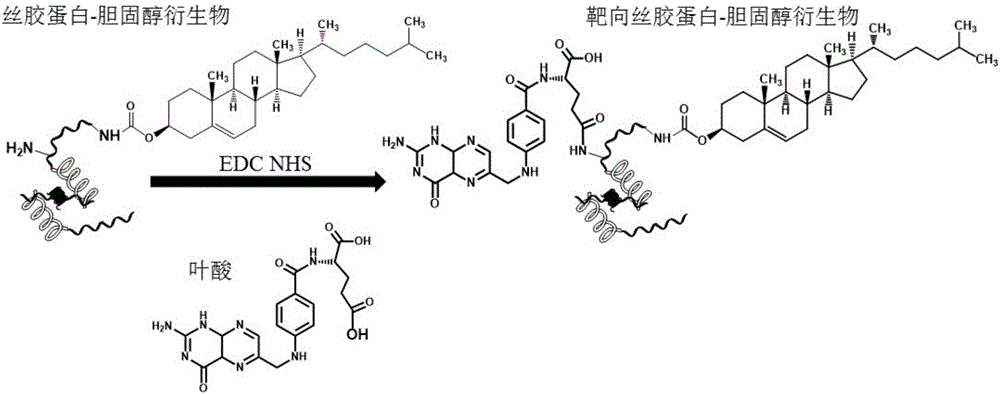 一種腫瘤靶向絲膠蛋白膠束及其制備方法和應(yīng)用與流程