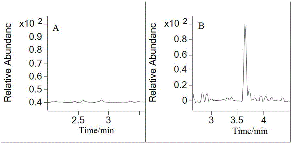 一种液质联用定量检测大鼠血浆中叶酸浓度的方法与流程