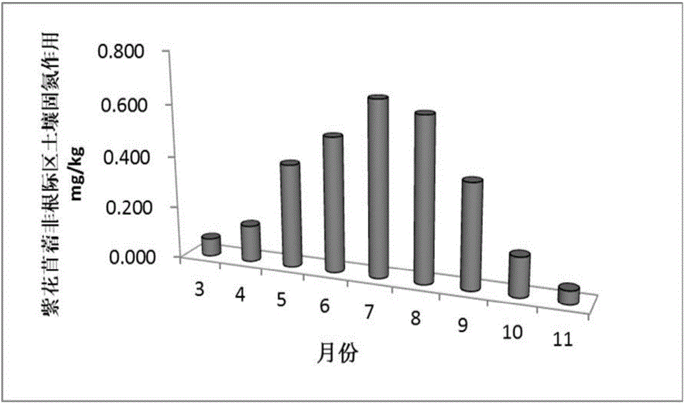 一種測定非根際區(qū)土壤固氮作用的方法與流程