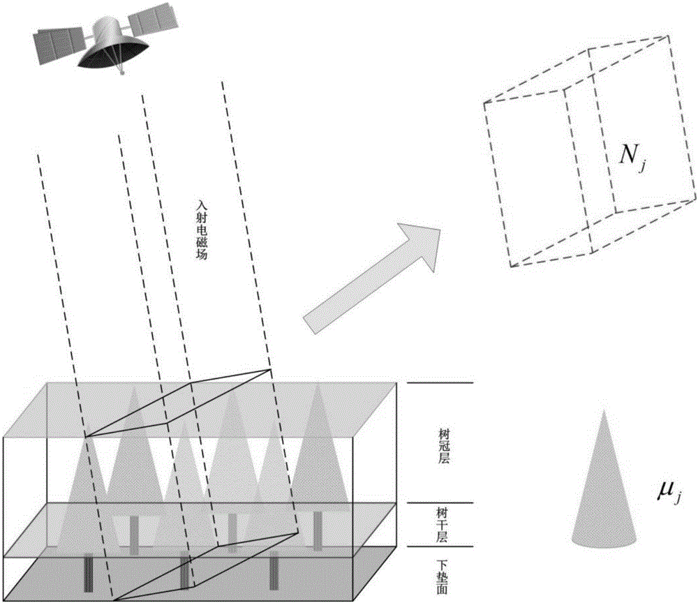 高轨SAR垂直向非均匀植被冠层后向散射系数模拟方法与流程