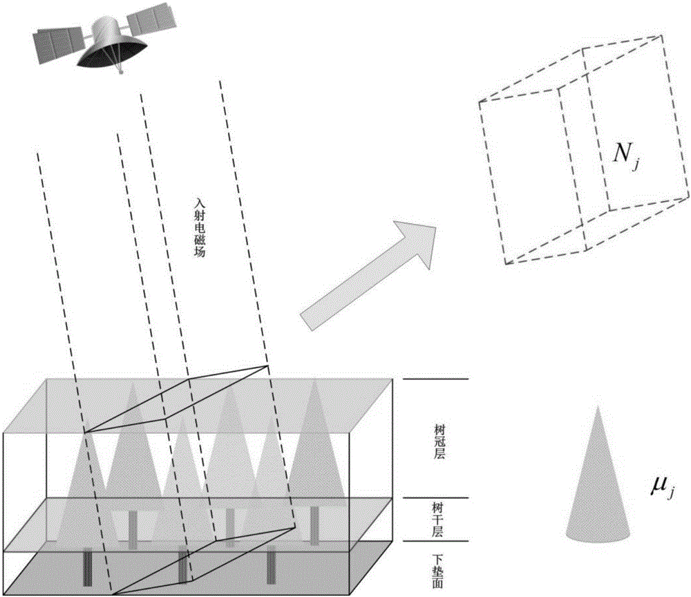 高軌SAR垂直向非均勻植被冠層后向散射系數(shù)模擬方法與流程