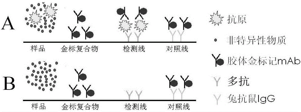 一种口蹄疫病毒胶体金试纸条、病原快速检测试剂盒及其制备方法与流程