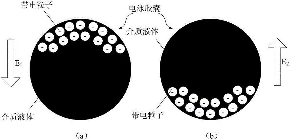 一種顯示面板及其刷屏方法與流程