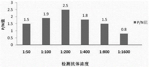 用于直肠癌体外诊断试剂盒及其检测方法与流程