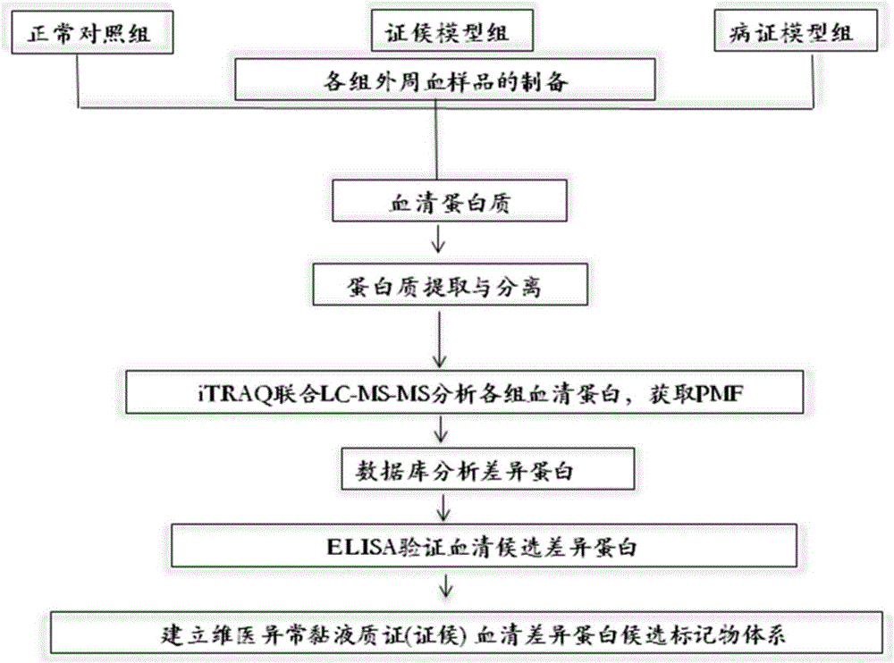 一種異常黏液質(zhì)證（證候）哺乳動物血清差異蛋白體系及其篩選方法與應(yīng)用與流程